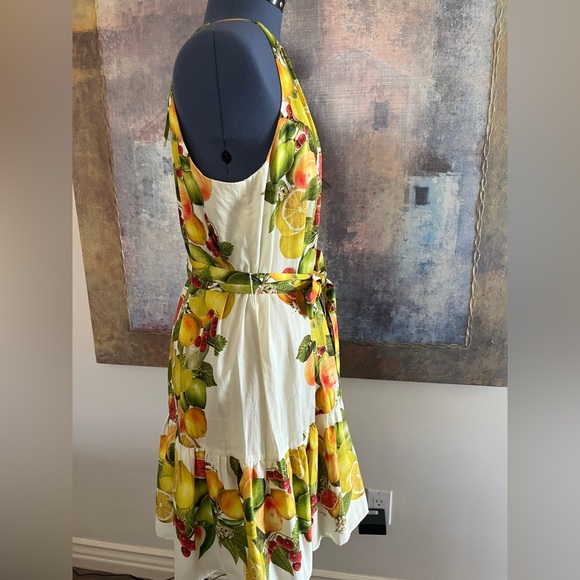 🍒🍋🍇🍓HP Gorgeous Sundress - Picture 3 of 6